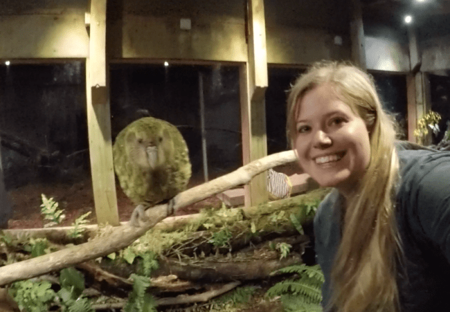 kakapo new zealand